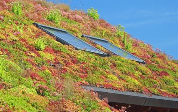 Hulme Walfield living roof systems