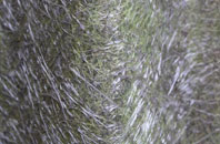 Hulme Walfield fibreglass roof work